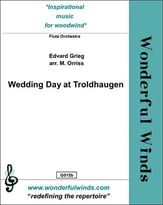 Wedding Day at Troldhaugen Flute Orchestra cover